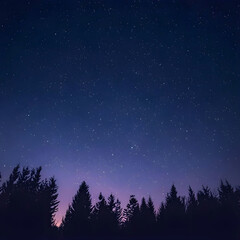Naklejka premium sky full of stars and silhouettes of trees below