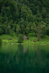 Obraz premium Secluded wooden cabin in lush forest along Königssee, Berchtesgaden National Park, Germany. The calm lake reflects vibrant greenery, creating a peaceful and harmonious natural scene.