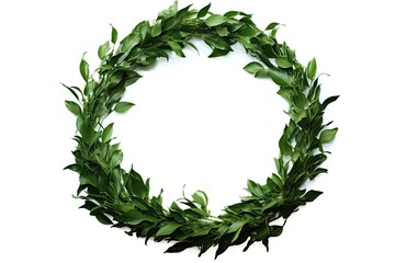 Wreath plant leaf white background.