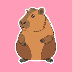 Cute Capybara in cartoon style, Vector Illustration. Pink background. Little kawaii capybara, cozy pet illustration
