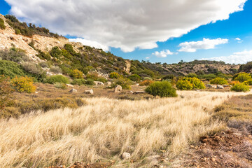 Tranquil Cypriot Landscape: Mountain View with Clear Sky and Sparse Vegetation