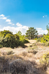 Tranquil Cypriot Landscape: Mountain View with Clear Sky and Sparse Vegetation