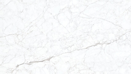 gray marble surface with veins and glossy abstract texture background , gray marble design background. Nature white or gray marble texture with black veins and curly seamless patterns ,