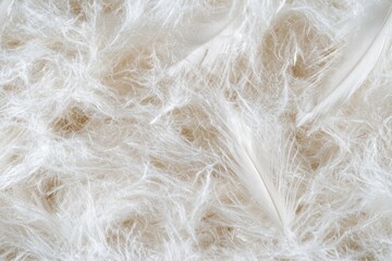 Obraz premium A close-up image featuring intricate, wispy white fibers on a soft beige background, creating a delicate and textured appearance.