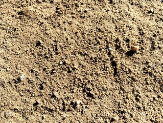 Dirt soil texture close-up  background.