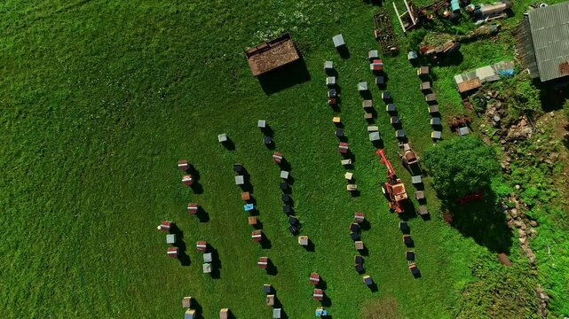 Above View Of Colorful Wooden Beehives Over Sunny Green Meadows. Aerial Descending Shot