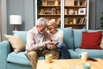 Simple living. Senior couple, retired people, man and woman, sitting in living room at home on...