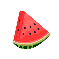 Watermelon vector