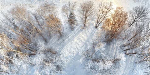 Panoramic drone view of snowy forest