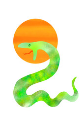 Fototapeta premium green snake