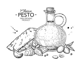 Pesto sauce ingredients vector drawing. Traditional italian pasta and salad dressing. Food sketch hand drawn sketch
