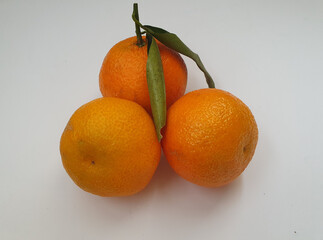 A beautiful branch of orange ripe tangerines lies on a white surface