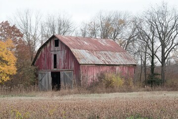 Obraz premium Weathered and abandoned barns, standing alone in rural fields, forgotten by time