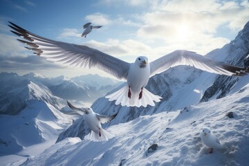Arctic terns flying snow landscape.