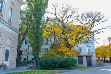 Poland capital warsaw new world street parliament building and old town and royal castle images