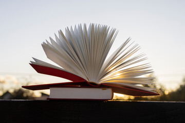 the sun shines through the pages of an open book. Selective focus. Reading concept. wisdom and knowledge. Time for a digital detox