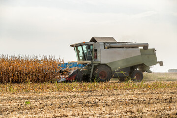 Combine harvester at work in a dry corn field under a cloudy sky