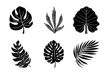 Monstera leaves vector Palm leaves Tropic vector Black  isolated objects Jungle set