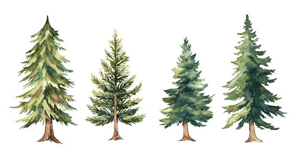 Obraz premium Pine tree watercolor Minimal style Side view set of graphics trees elements outline symbol for architecture and landscape design. Vector illustration transparent background