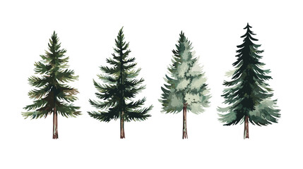 Obraz premium Pine tree watercolor Minimal style Side view set of graphics trees elements outline symbol for architecture and landscape design. Vector illustration transparent background