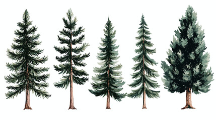 Fototapeta premium Pine tree watercolor Minimal style Side view set of graphics trees elements outline symbol for architecture and landscape design. Vector illustration transparent background