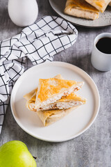 Cottage cheese and apple wrapped in fried lavash on a plate on the table vertical view