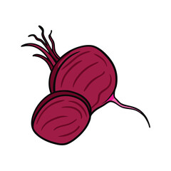 Vector Cartoon Red Beetroot Illustration