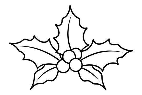black and white holly leaves and berries clip art preview