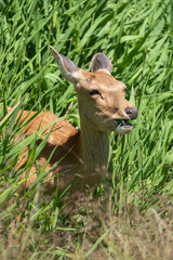 Fototapeta premium 山岳風景