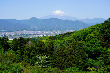 新緑と富士山