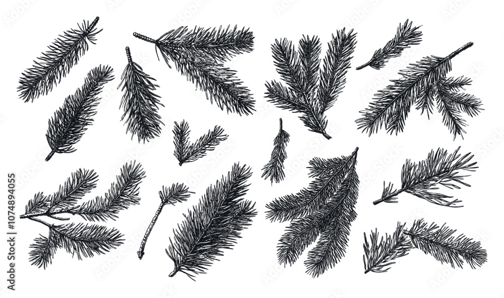 Poster pine twigs hand-drawn linocut grunge texture vector set white background featuring natural branches 