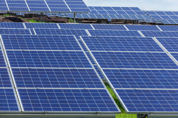 Close up rows array of polycrystalline silicon solar cells or photovoltaic cells in solar power plant turn up skyward absorb the sunlight from the sun alternative renewable energy energy efficiency