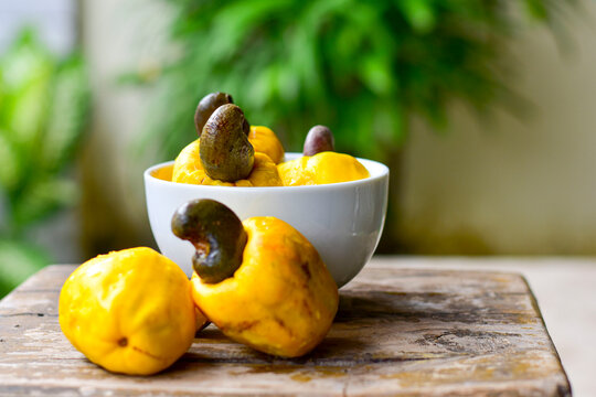 O que entendemos popularmente como "caju" se constitui de duas partes: o fruto propriamente dito, que &eacute; a castanha; e seu ped&uacute;nculo floral, o pseudofruto, um corpo piriforme, amarelo, rosado ou vermel