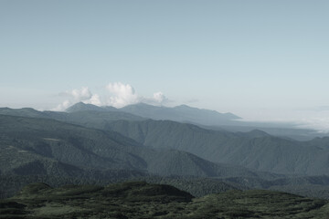夏山の風景