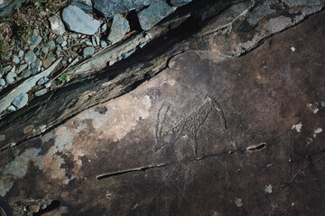 Ancient petroglyphs carved into the rocky cliffs of the Altai Mountains, showcasing the rich cultural history of early inhabitants.