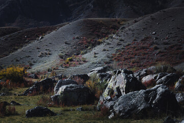 A harsh, rocky landscape of the Altai Mountains, with rugged boulders and a barren, untamed environment.