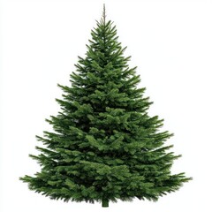 Fototapeta premium A Christmas tree decoration christmas pine.
