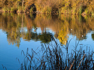 view, landscape, morning, autumn, fog, agriculture, sun, plants,