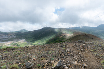 夏山の風景
