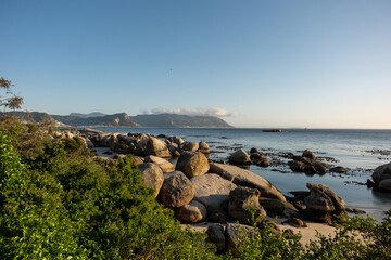 Boulders Beach in Cape Town, South Africa