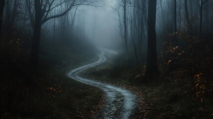 Obraz premium Narrow, winding path disappearing into thick darkness