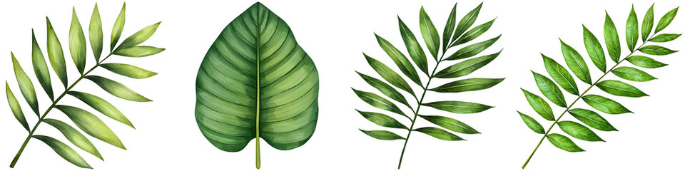 A collection of diverse green leaves showcasing various shapes and textures, highlighting their natural beauty and complexity.