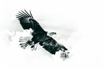 Fototapeta premium Soaring Eagle in Cloudy Sky with Creative Double Exposure