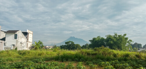 rice field in the mountains