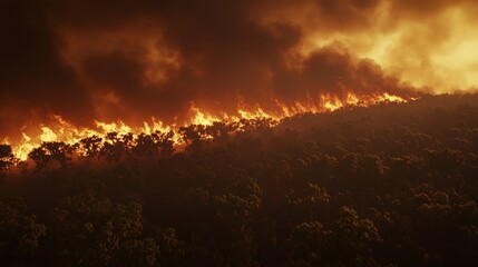 Climate Change Catastrophe: Panoramic View of Intense Wildfire Ravaging Forest with Dark Smoke - Environmental Disaster Concept