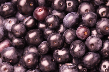 Ripe acai berries as background, closeup view