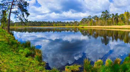 Mastbos Forest Mastbos Lake Mastbos