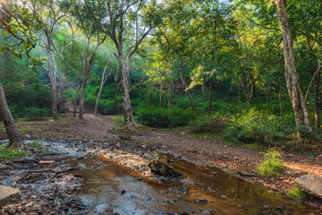 Beautiful Sunset view of satpura mountain range, Pachmarhi, Madhya Pradesh, India.