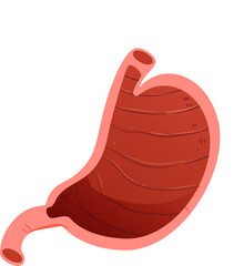 Various types of stomach with sickness