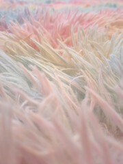 Close-up shot of fur, pastel rainbow carpet, rug, mat, fur, cotton, fluffy, natural light.Photography background pattern